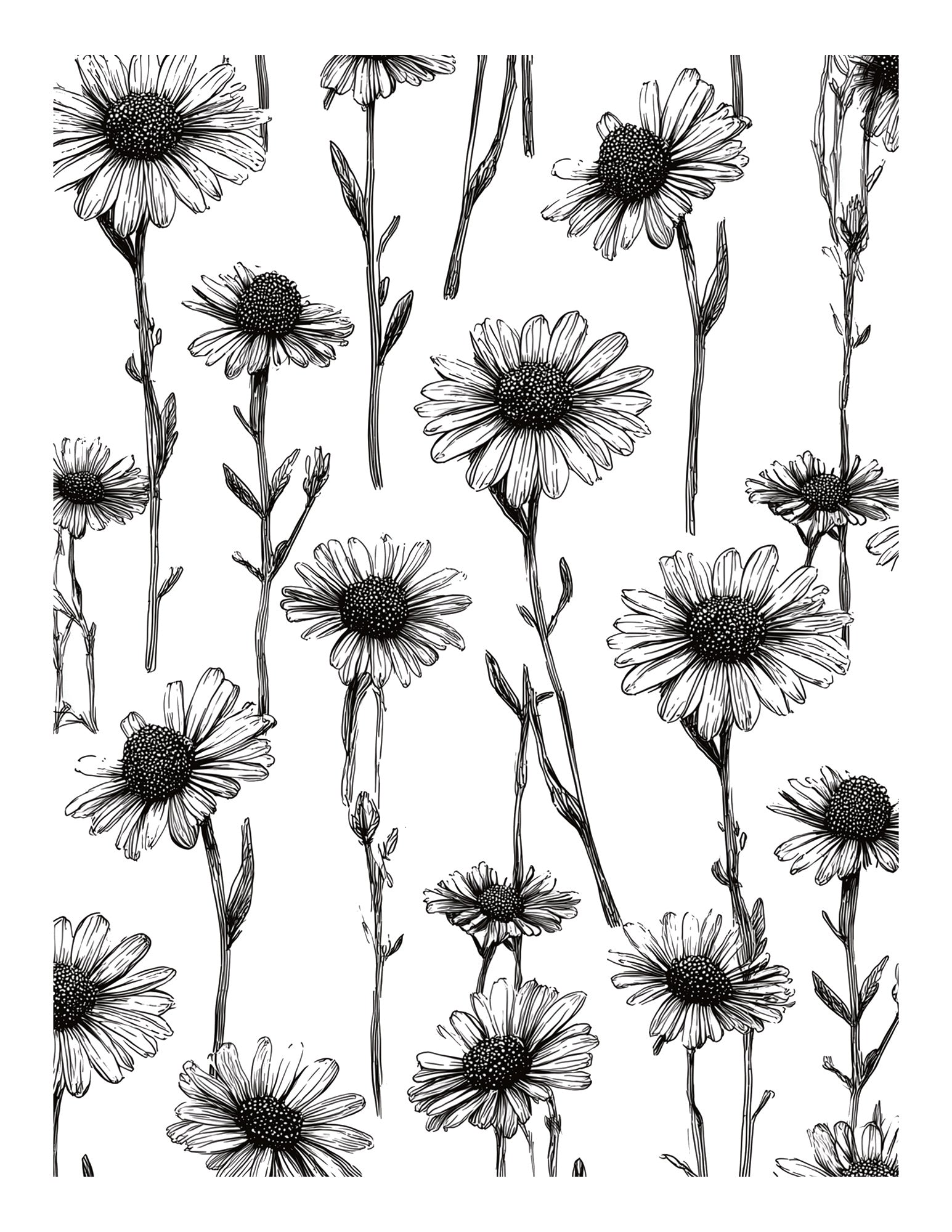 Black and white floral pattern with daisies on a white background downloadable for gel print artists