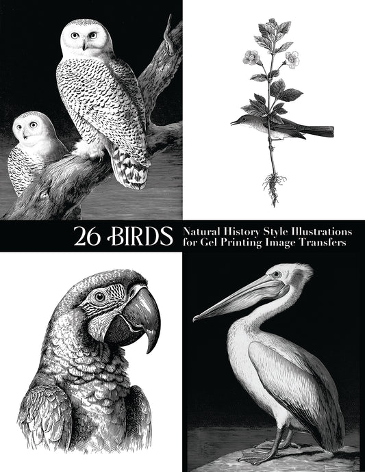 26 Birds: Natural History Style Illustrations for Gel Printing Image Transfers