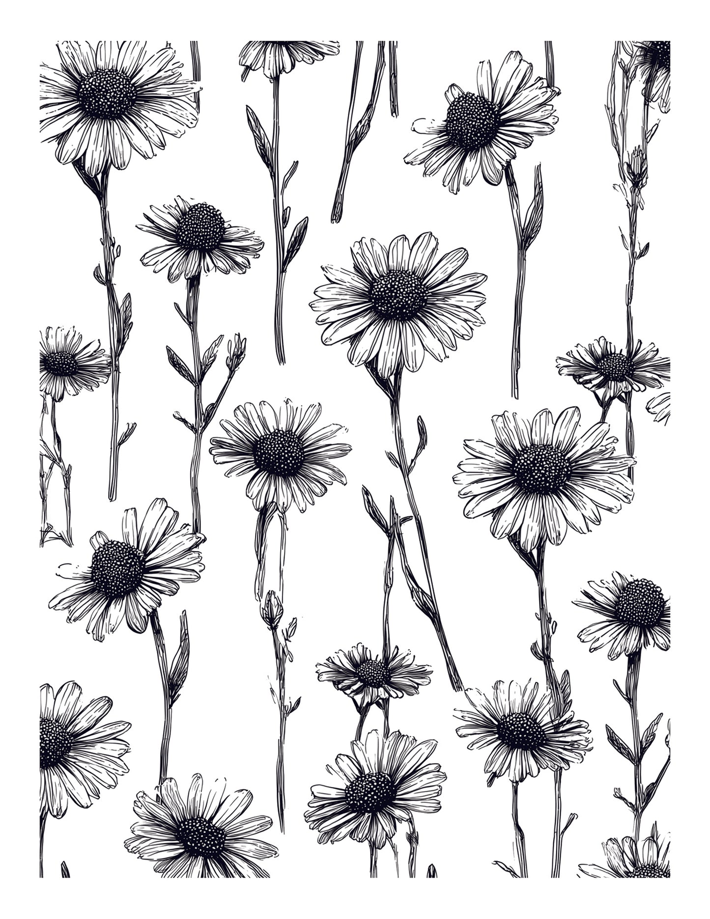 104 Image Transfers Starter Bundle for Gelli Plate Printing