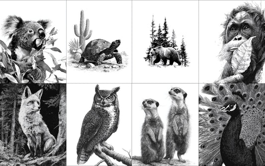 NEW: 94 Wild Animals of the World Image Transfers