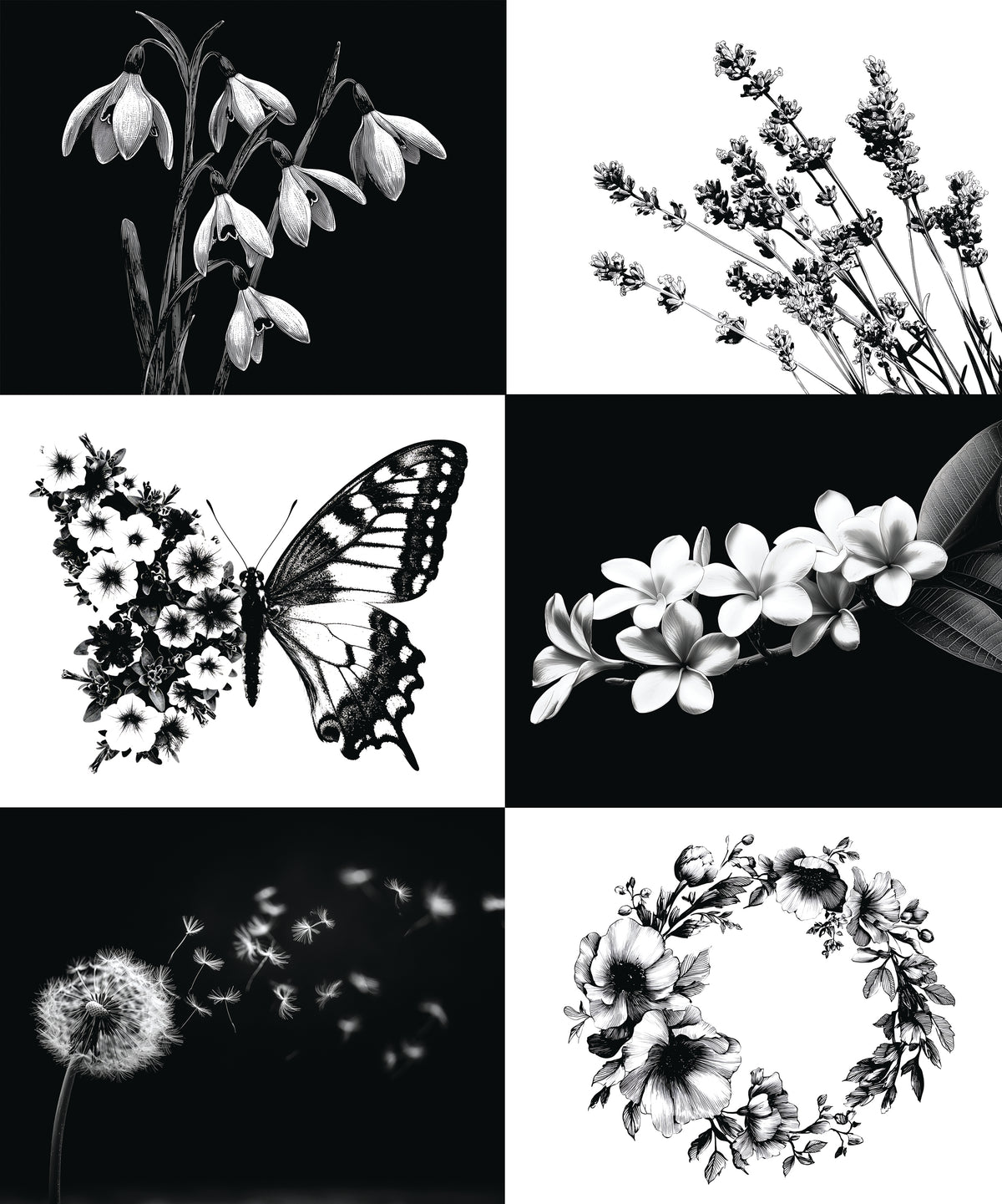 85 Flower Transfers for Gel Plate Printing - 5x7 & 8x10